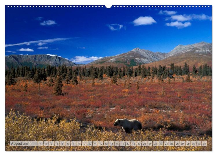 Produktbild: Wildes Alaska Christian Heeb (Wandkalender 2026 DIN A2 quer), CALVENDO Monatskalender
