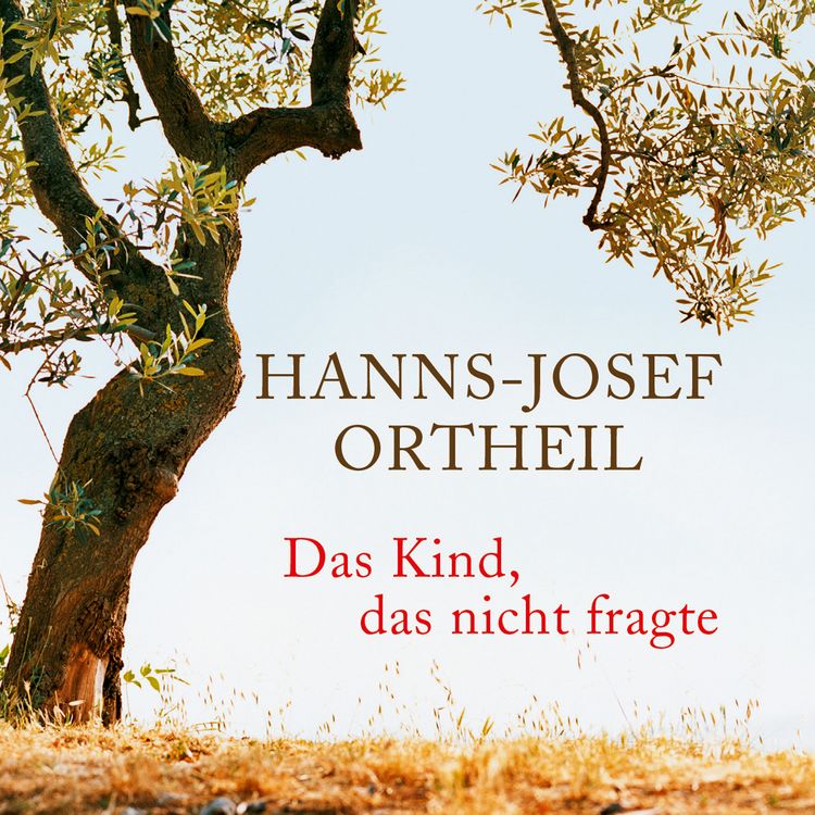 Produktbild: Das Kind, das nicht fragte