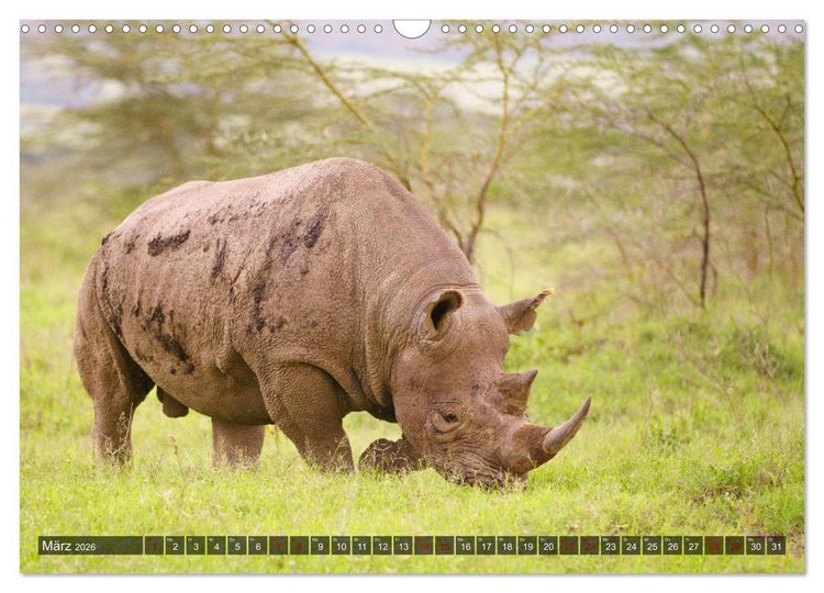 Produktbild: Auf Safari in Kenia 2026 (Wandkalender 2026 DIN A3 quer), CALVENDO Monatskalender