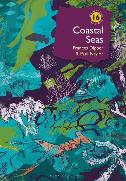 Produktbild: Coastal Seas