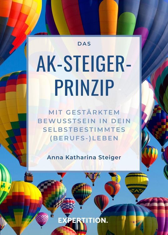 Produktbild: Das AK-Steiger-Prinzip
