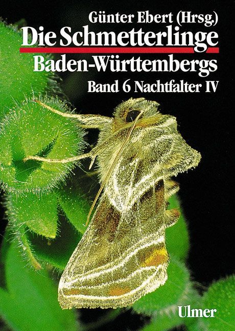 Produktbild: Die Schmetterlinge Baden-W&uuml;rttembergs Band 6 - Nachtfalter IV