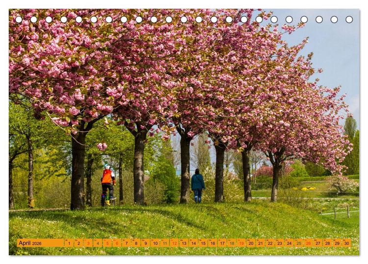 Produktbild: Wismarer Bucht - Impressionen zwischen Kl&uuml;tzer Winkel und der Insel Poel (Tischkalender 2026 DIN A5 quer), CALVENDO Monatskalender