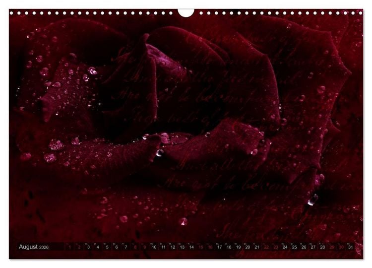 Produktbild: Gothic Rose - Rosen aus dem Garten der Finsternis (Wandkalender 2026 DIN A3 quer), CALVENDO Monatskalender