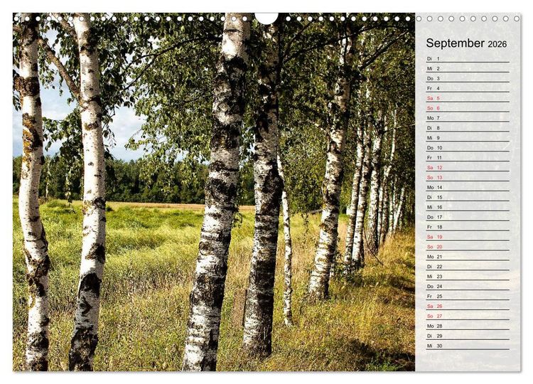 Produktbild: Litauen - Streifz&uuml;ge durch die junge Ostseerepublik (Wandkalender 2026 DIN A3 quer), CALVENDO Monatskalender