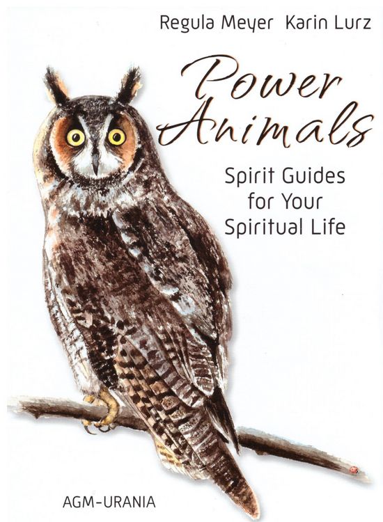 Produktbild: Power Animal Cards GB