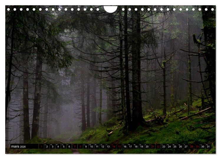 Produktbild: Lumi&egrave;res des Vosges (Calendrier mural 2026 DIN A4 vertical), CALVENDO calendrier mensuel