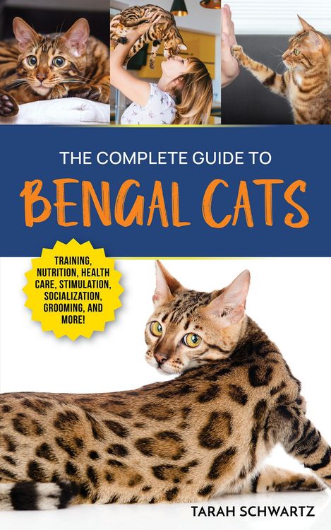 Produktbild: The Complete Guide to Bengal Cats