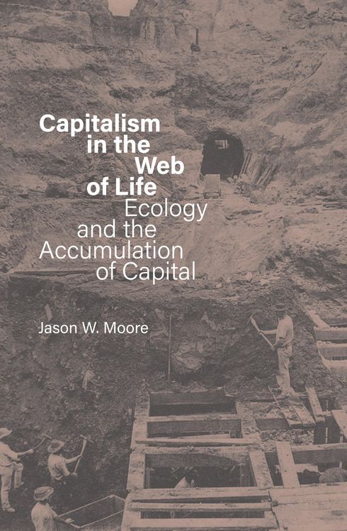 Produktbild: Capitalism in the Web of Life