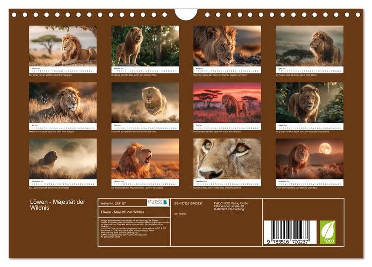 Produktbild: L&ouml;wen - Majest&auml;t der Wildnis (Wandkalender 2026 DIN A4 quer), CALVENDO Monatskalender