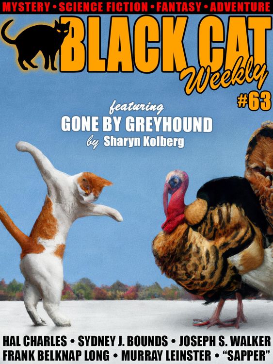 Produktbild: Black Cat Weekly #63