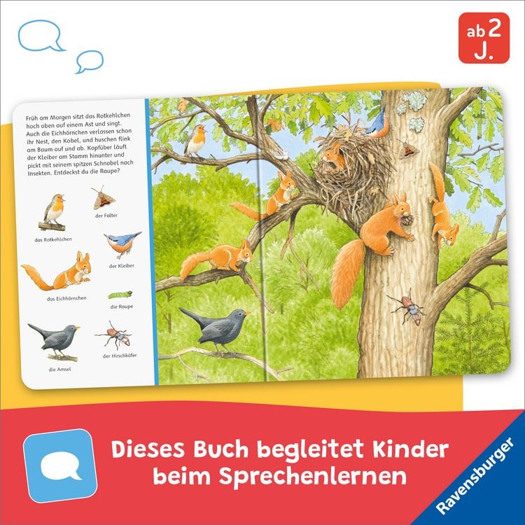 Produktbild: Sachen suchen - Tiere im Wald