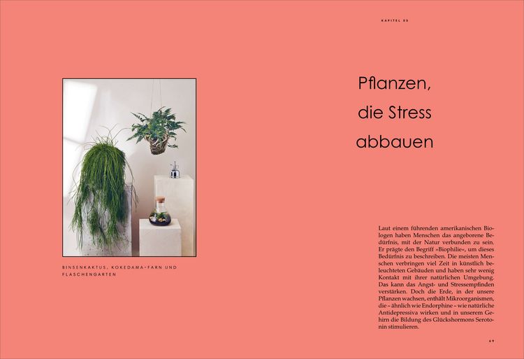 Produktbild: Die heilende Kraft der Zimmerpflanzen