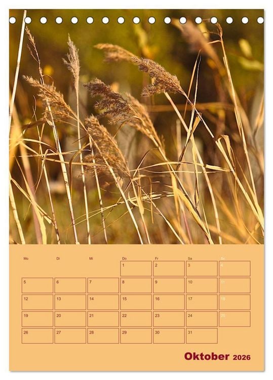 Produktbild: Wald- und Wiesenkalender 2026 Planer (Tischkalender 2026 DIN A5 hoch), CALVENDO Monatskalender