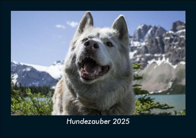 Produktbild: Hundezauber 2025 Fotokalender DIN A5