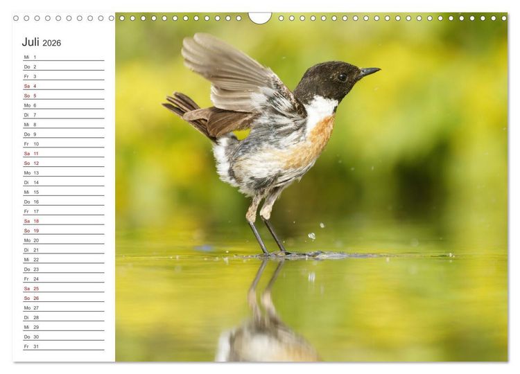 Produktbild: Faszinierendes Bulgarien (Wandkalender 2026 DIN A3 quer), CALVENDO Monatskalender