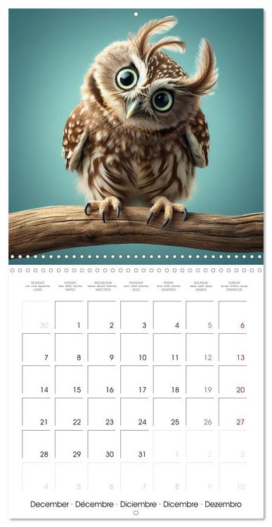 Produktbild: Joie animale - Une ann&eacute;e de sourires et d'&eacute;nergie positive (Calendrier mural carr&eacute; 2026 30x30 cm) Calendrier double avec une page pour vos prises de notes