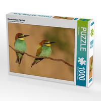 Produktbild: CALVENDO Puzzle Bienenfresser-P&auml;rchen | 1000 Teile Lege-Gr&ouml;&szlig;e 64x48cm Foto-Puzzle f&uuml;r gl&uuml;ckliche Stunden