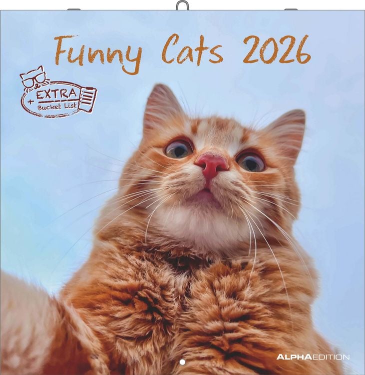Bild vom Artikel Funny Cats 2026 - Broschürenkalender 30x30 cm (30x60 geöffnet) - Kalender mit Platz für Notizen - Katzen - Bildkalender - Wandplaner - Katzenkalender vom Autor Alpha Edition