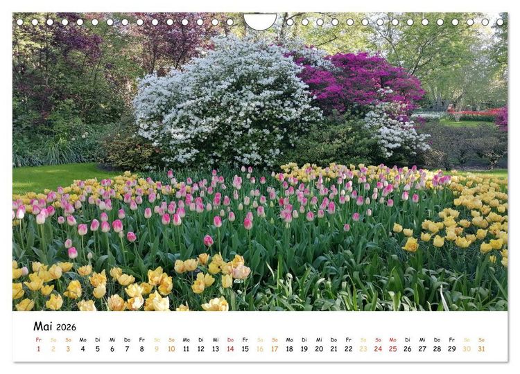 Produktbild: Auf Tour im Land der Tulpen (Wandkalender 2026 DIN A4 quer), CALVENDO Monatskalender