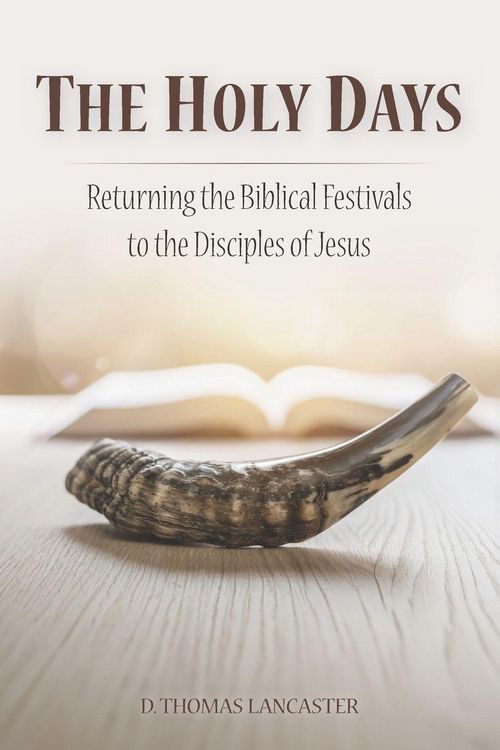 Produktbild: The Holy Days