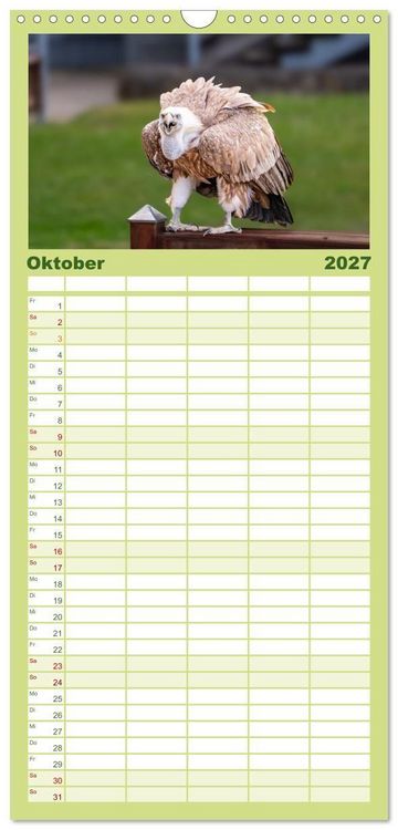 Produktbild: Familienplaner 2027 - Greifv&ouml;gel in Aktion - Dynamische Flugbilder und Portr&auml;ts mit 5 Spalten (Wandkalender, 21 x 45 cm) CALVENDO