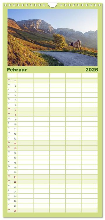 Produktbild: Familienplaner 2026 - Slowenische Landschaften mit 5 Spalten (Wandkalender, 21 x 45 cm) CALVENDO