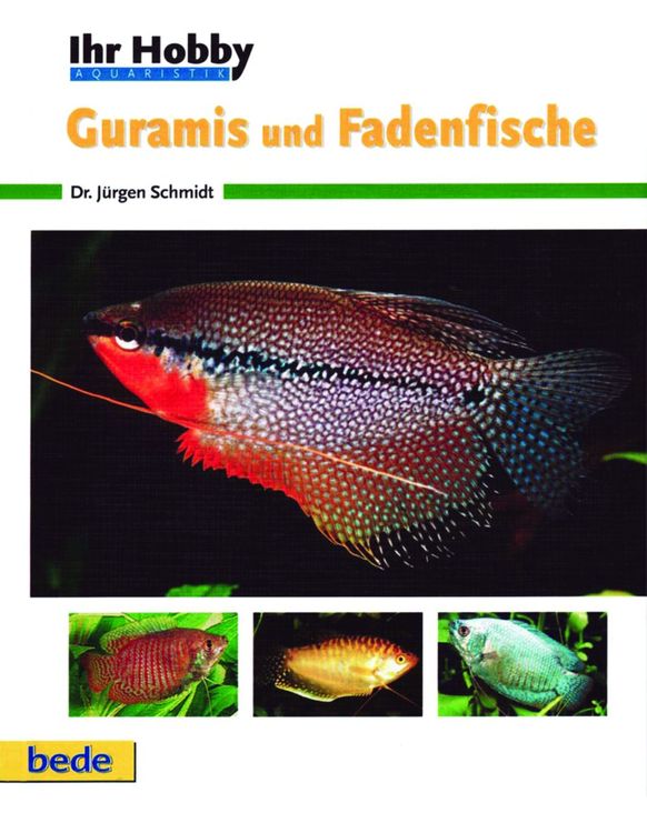 Produktbild: Ihr Hobby Guramis und Fadenfische