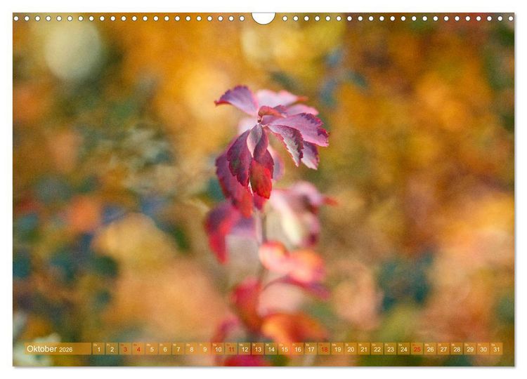 Produktbild: Die Poesie der Pflanzenwelt - Im Wandel der Jahreszeiten (Wandkalender 2026 DIN A3 quer), CALVENDO Monatskalender
