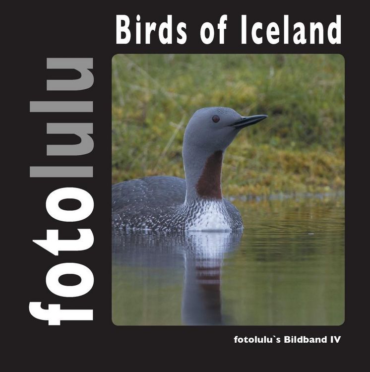 Produktbild: Birds of Iceland