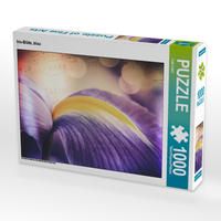 Produktbild: CALVENDO Puzzle Iris-Bl&uuml;te, blau 1000 Teile Lege-Gr&ouml;&szlig;e 64 x 48 cm Foto-Puzzle Bild von Foto-FukS