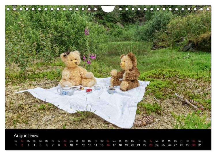 Produktbild: Martin B&auml;ren (Wandkalender 2026 DIN A4 quer), CALVENDO Monatskalender