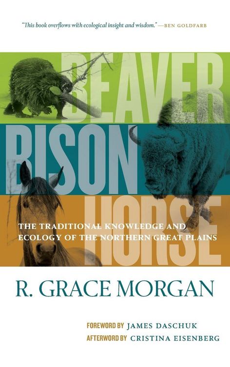 Produktbild: Beaver, Bison, Horse