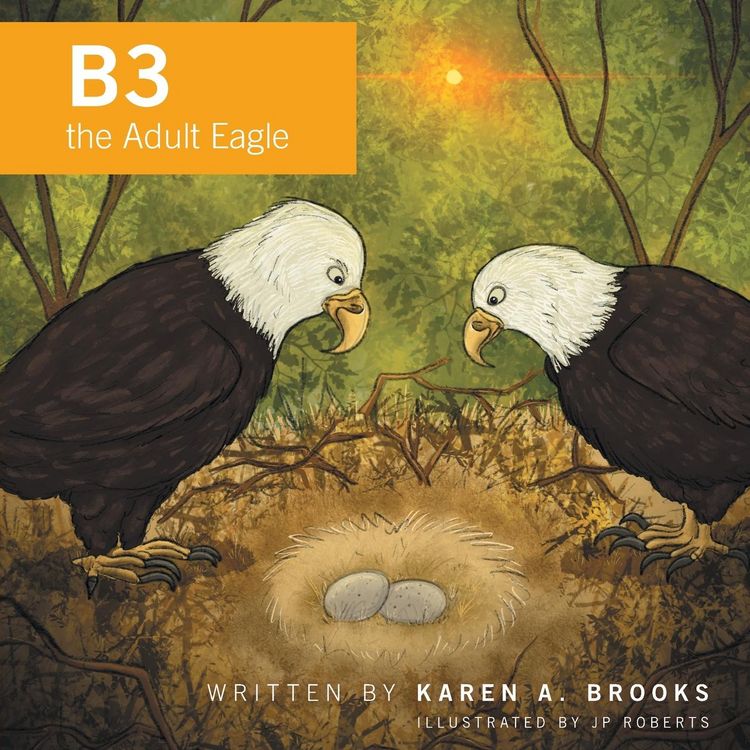 Produktbild: B3 The Adult Eagle