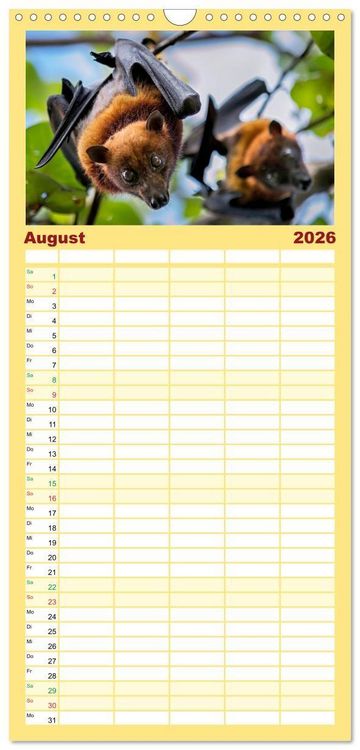 Produktbild: Familienplaner 2026 - Flughunde - Meister der Nacht mit 5 Spalten (Wandkalender, 21 x 45 cm) CALVENDO