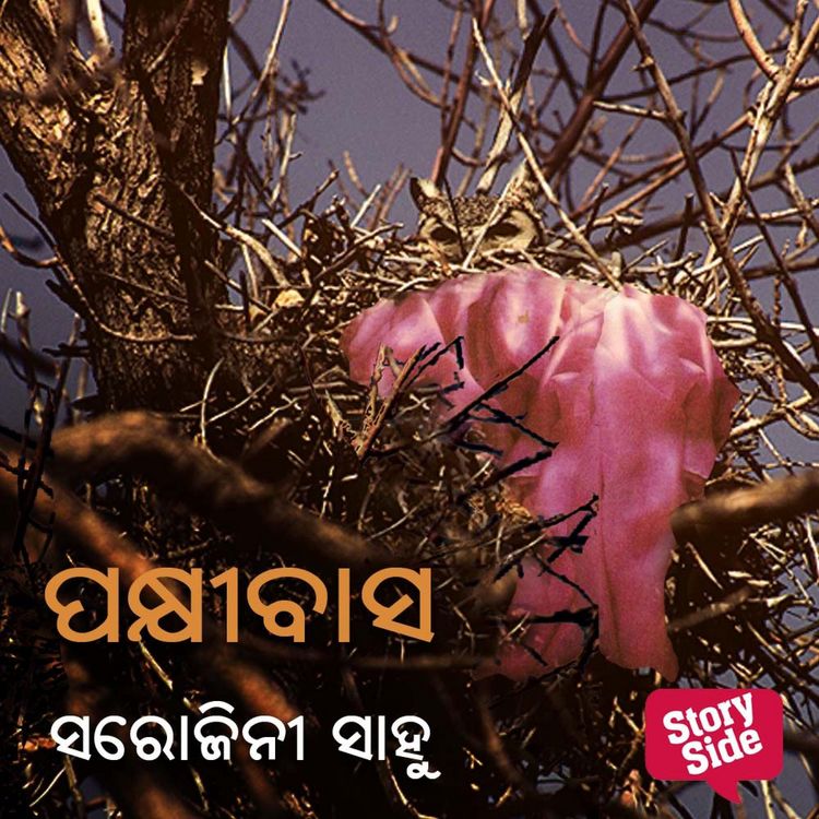 Produktbild: Pakshibasa