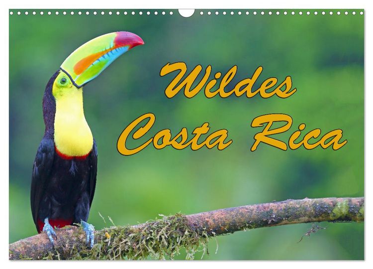 Produktbild: Wildes Costa Rica (Wandkalender 2026 DIN A3 quer), CALVENDO Monatskalender