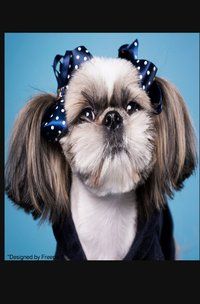 Produktbild: Notizb&uuml;cher / S&uuml;&szlig;es Hunde Notizbuch Businessplaner Geschenkidee f&uuml;r Mann Frau und Kind