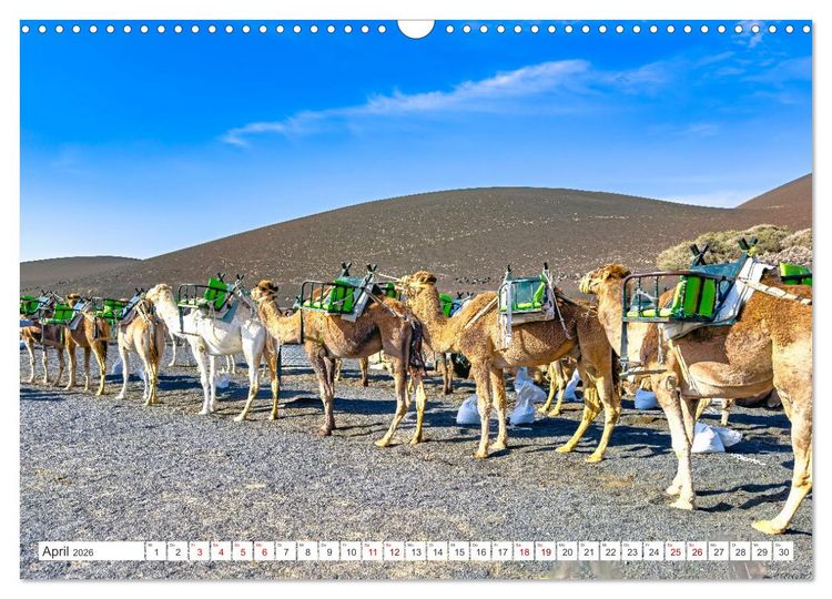Produktbild: Lanzarote - Wo die Vulkane die Landschaft formten (Wandkalender 2026 DIN A3 quer), CALVENDO Monatskalender