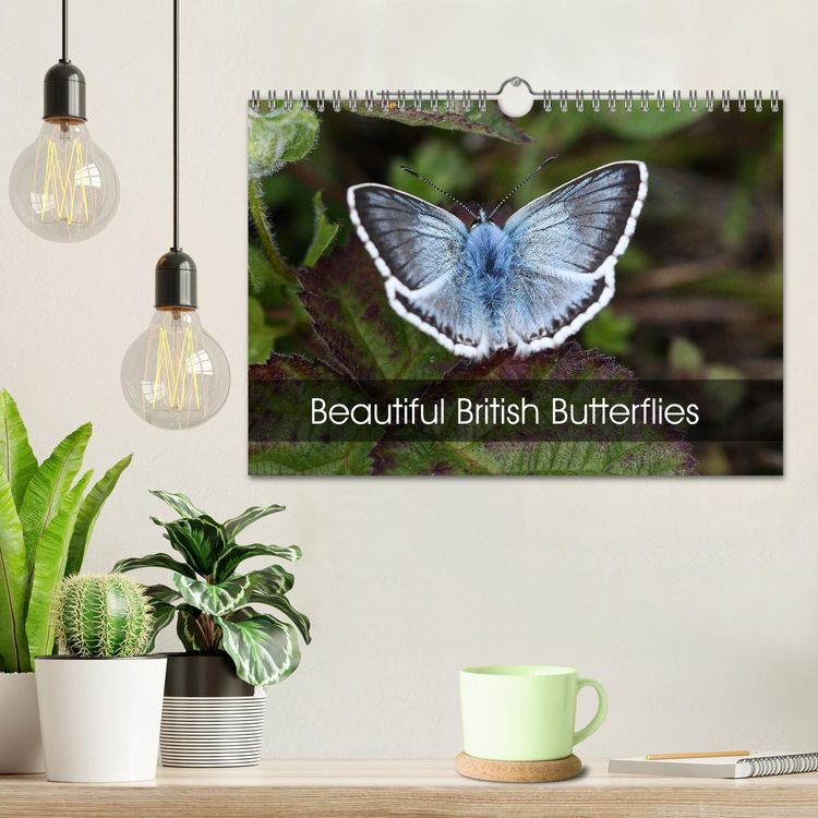 Produktbild: Beautiful British Butterflies (Wall Calendar 2026 DIN A4 landscape), CALVENDO 12 Month Wall Calendar