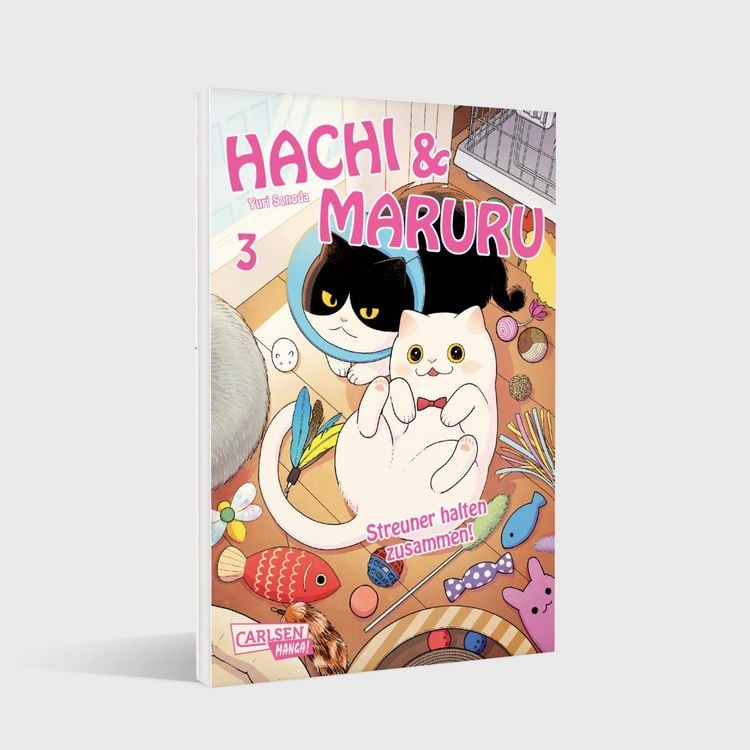 Produktbild: Hachi & Maruru &ndash; Streuner halten zusammen! 3
