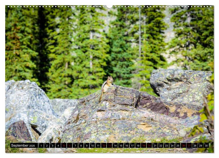 Produktbild: Kanadas Rocky Mountains (Wandkalender 2026 DIN A2 quer), CALVENDO Monatskalender