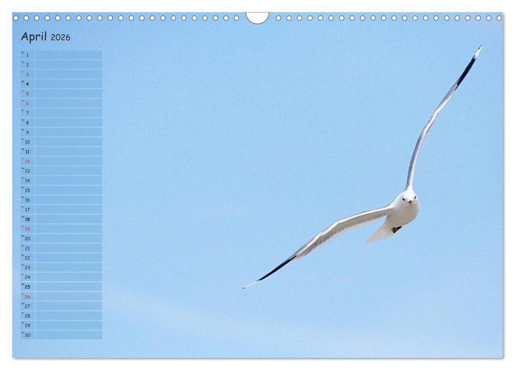 Produktbild: Rund um K&uuml;hlungsborn (Wandkalender 2026 DIN A3 quer), CALVENDO Monatskalender