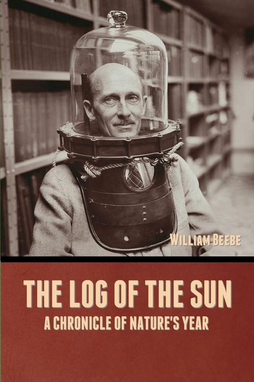 Produktbild: The Log of the Sun