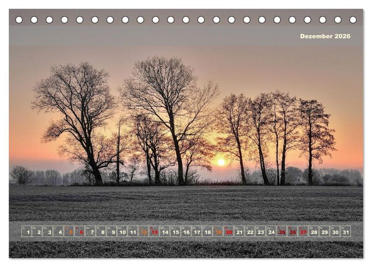 Produktbild: Licht im Land (Tischkalender 2026 DIN A5 quer), CALVENDO Monatskalender