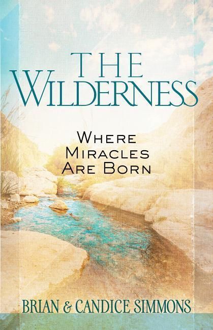 Produktbild: The Wilderness
