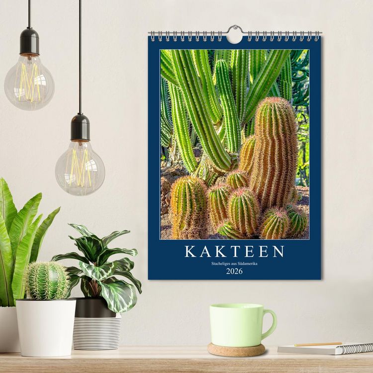Produktbild: Kakteen - Stacheliges aus S&uuml;damerika (Wandkalender 2026 DIN A4 hoch), CALVENDO Monatskalender