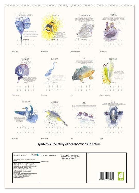 Produktbild: Symbiosis, the story of collaborations in nature (High Quality Premium Wall Calendar 2026 DIN A2 portrait),CALVENDO 12 Month Wall Calendar