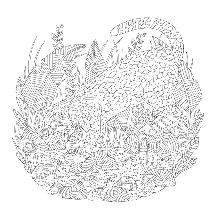 Produktbild: Millie Marotta's Animal Adventures