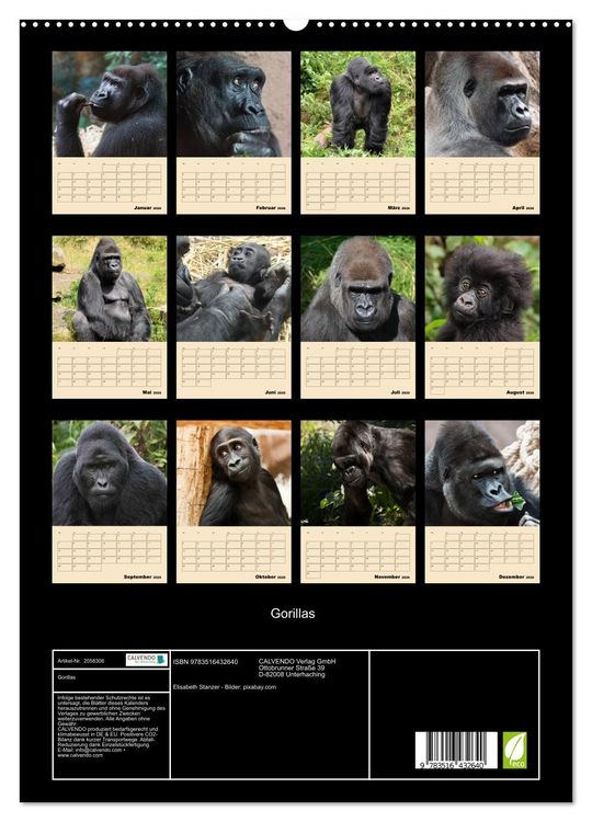 Produktbild: Gorillas (hochwertiger Premium Wandkalender 2026 DIN A2 hoch), Kunstdruck in Hochglanz